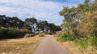 Zon en sluierbewolking 