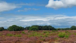 Sluierbewolking 