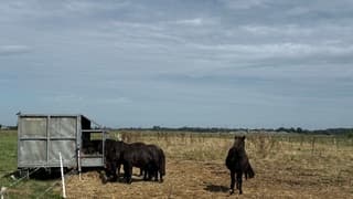 Nog steeds droog