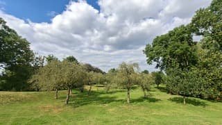 Appelboomgaard in glooiend landschap onder bewolkte en blauwe lucht