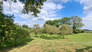 Appelboomgaard onder bewolkte en blauwe lucht