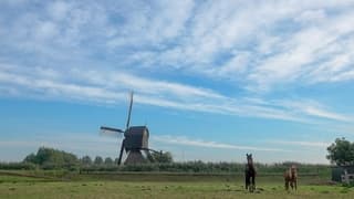 Sluierbewolking 