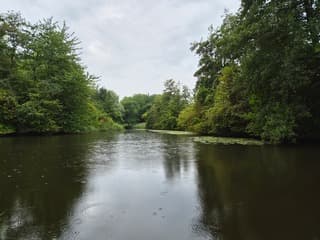 Regen