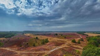 Tussen de buiendoor boven de heide. 