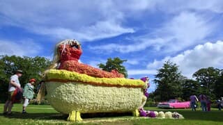 12 uur OPKLARING bij Dahlia Event Lisse