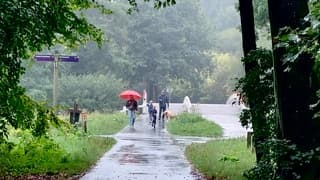Stortbui 