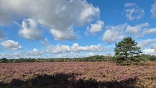 Mooie wolkenluchten 