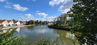 Veel blauw 