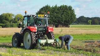 VELD WERKZAAMHEDEN 