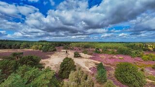Wolken en zon boven een paarse heide