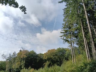 zonnig