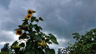 Dreigende lucht 