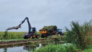 We krijgen weer wat uitzicht 