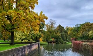Herfstkleuren al beetje zichtbaar  en afgevallen blad