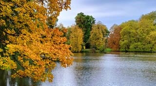 Herfstkleuren al beetje zichtbaar  en afgevallen blad