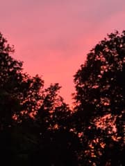 Avondrood 
