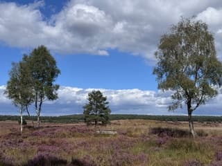 Prachtige wolken en blauwe lucht 
