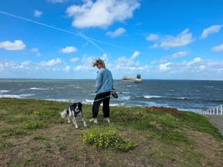 Zon,woljen,blauwe lucht..en..