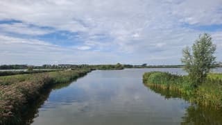 Heerlijk wandelweer