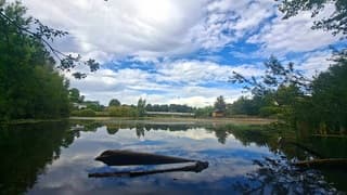 Weerspiegeling
