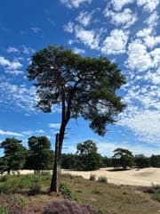 Zo’n en wolken