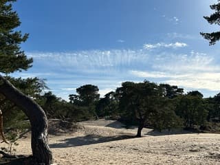 Mooie wolken
