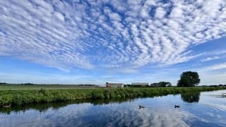 Altocumulus wolken 