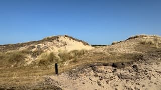 Zonnig