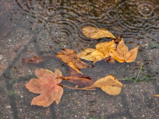 Hele dag bijna regen..