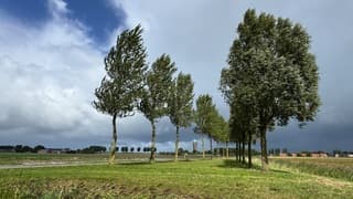 Buien en wind