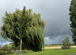 Flink wat wind