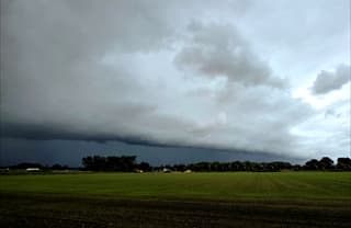 Onweersbui met wolkenkraag (Brabant)