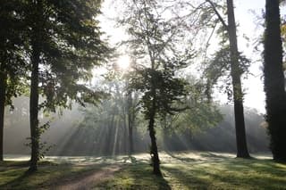 Zonnestralen in de vroege ochtend 