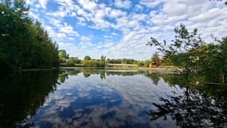 Nagenoeg windstil, de wolkjes aan de blauwe lucht en bomen weerspiegeld