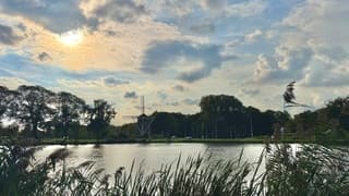 De Amstel 