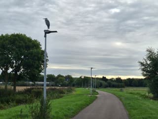 Reiger