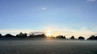 Ochtendnevel 