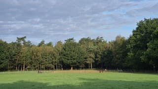 Veel bewolking vandaag 
