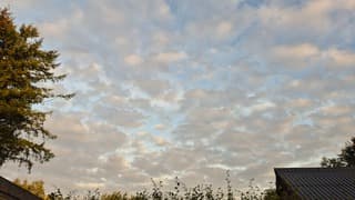 Veel bewolking 