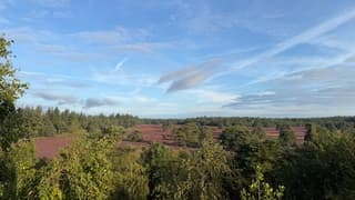Uitzicht vanaf een uitkijktoren 