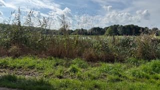 Wolken en zon 