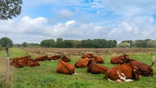 Steeds meer ruimte voor de zon