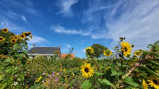 Zonnig Zeeland 