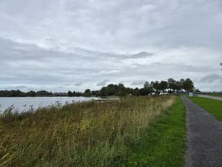 Vissen