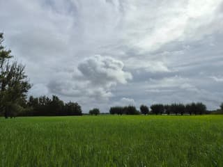 Wolken