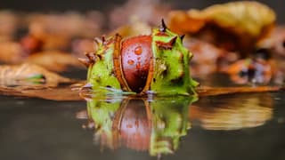 Op een regenachtige herfstdag in september..