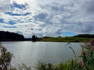 Mooi wandelweer 