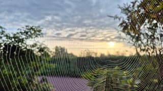 De zonsopkomst gevangen 