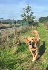 Heerlijk nazomer weer 