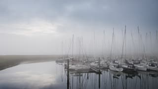 Doorkomende zon, oplossende mist en naderende regenbui